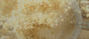 Protein Powder dropping into cup